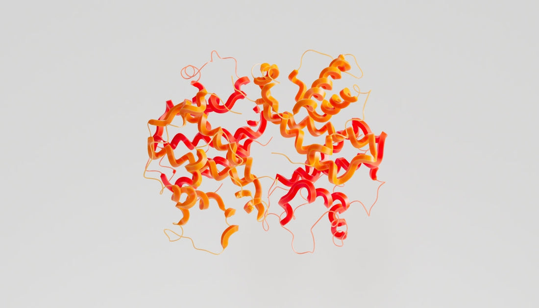 Phenylketonuria and the NDIS - Beyond