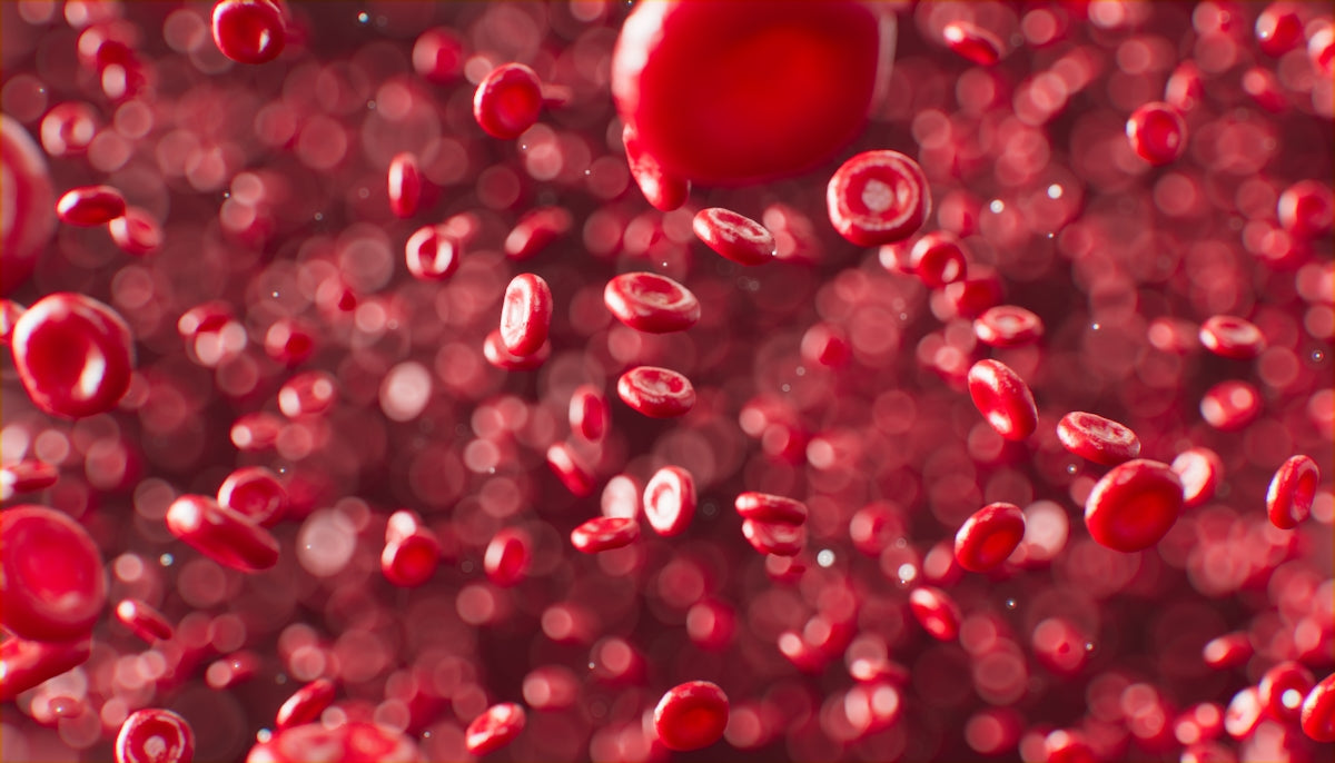 Hemophilia and the NDIS - Beyond