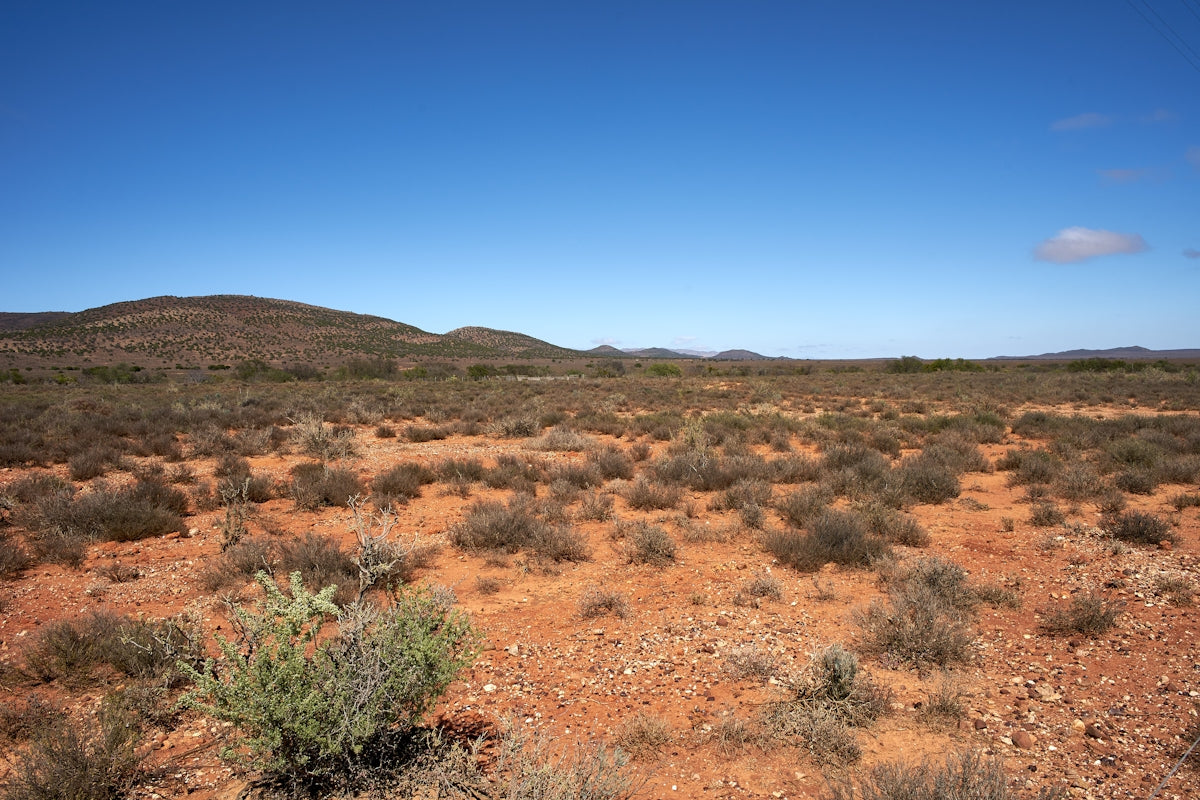 a dirt field with a hill in the background