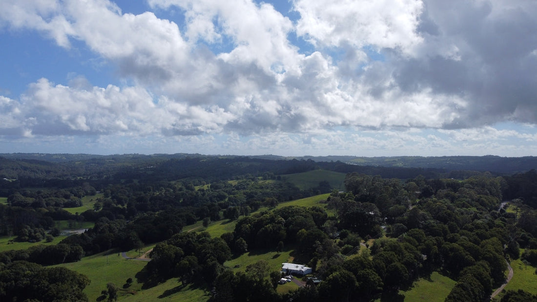 an aerial view of a lush green countryside