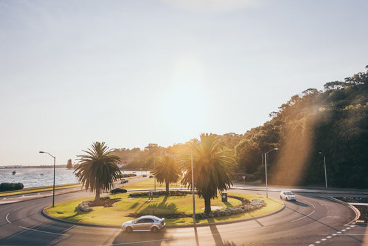 a car driving down a street next to a palm tree