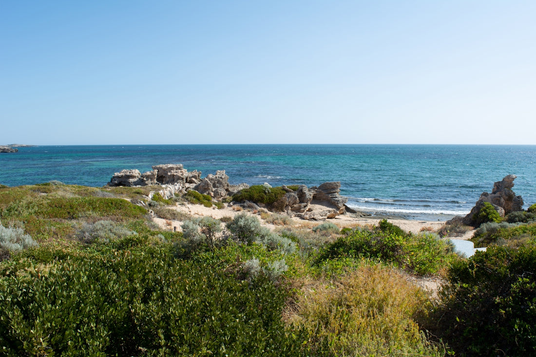 a view of the ocean from a rocky shore