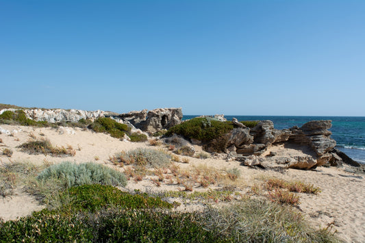 a sandy beach next to the ocean under a blue sky