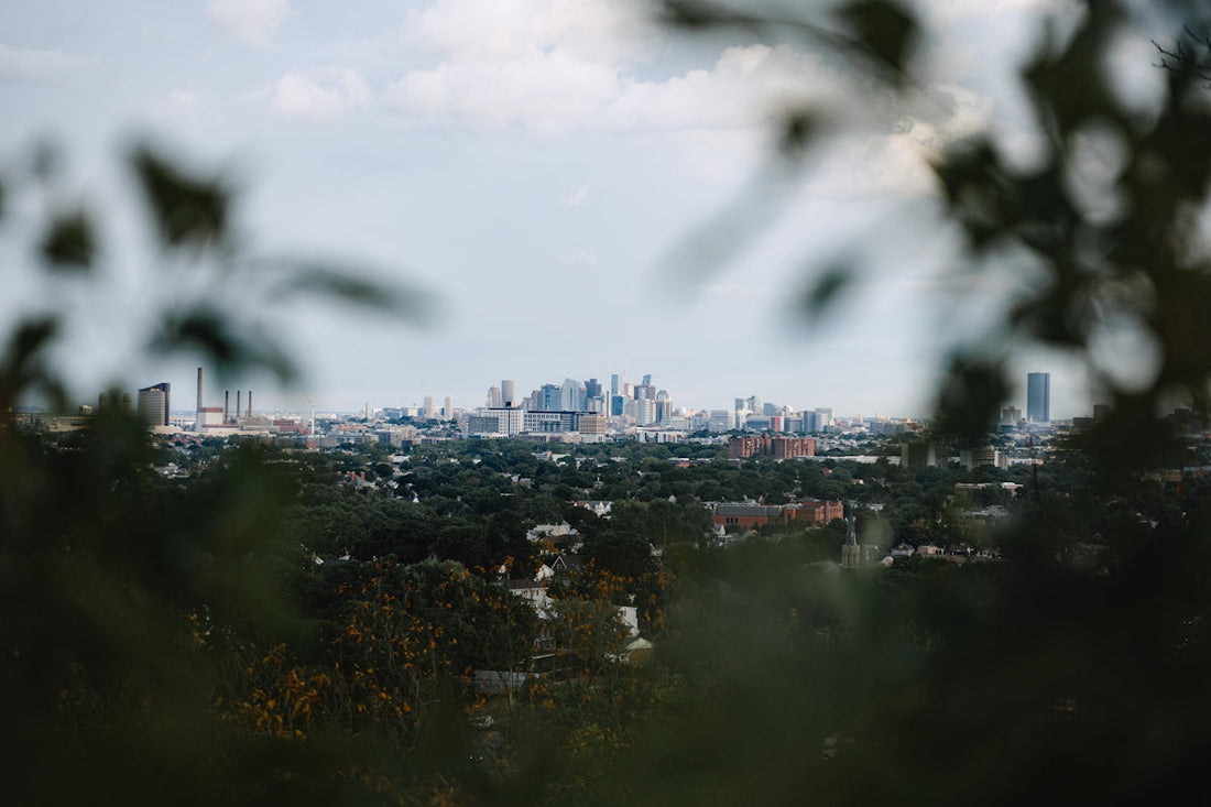 a city skyline with trees