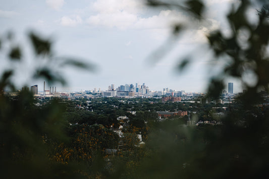 a city skyline with trees