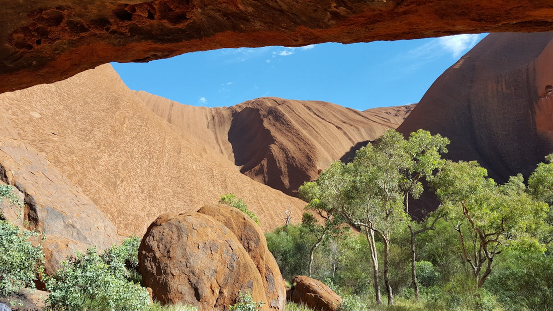 a view of a canyon with trees