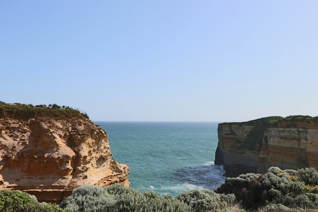 a cliff overlooking the ocean