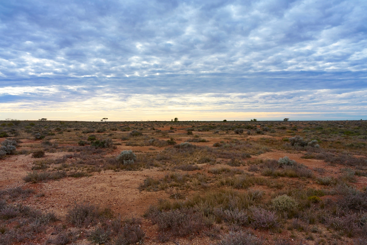 a large open field