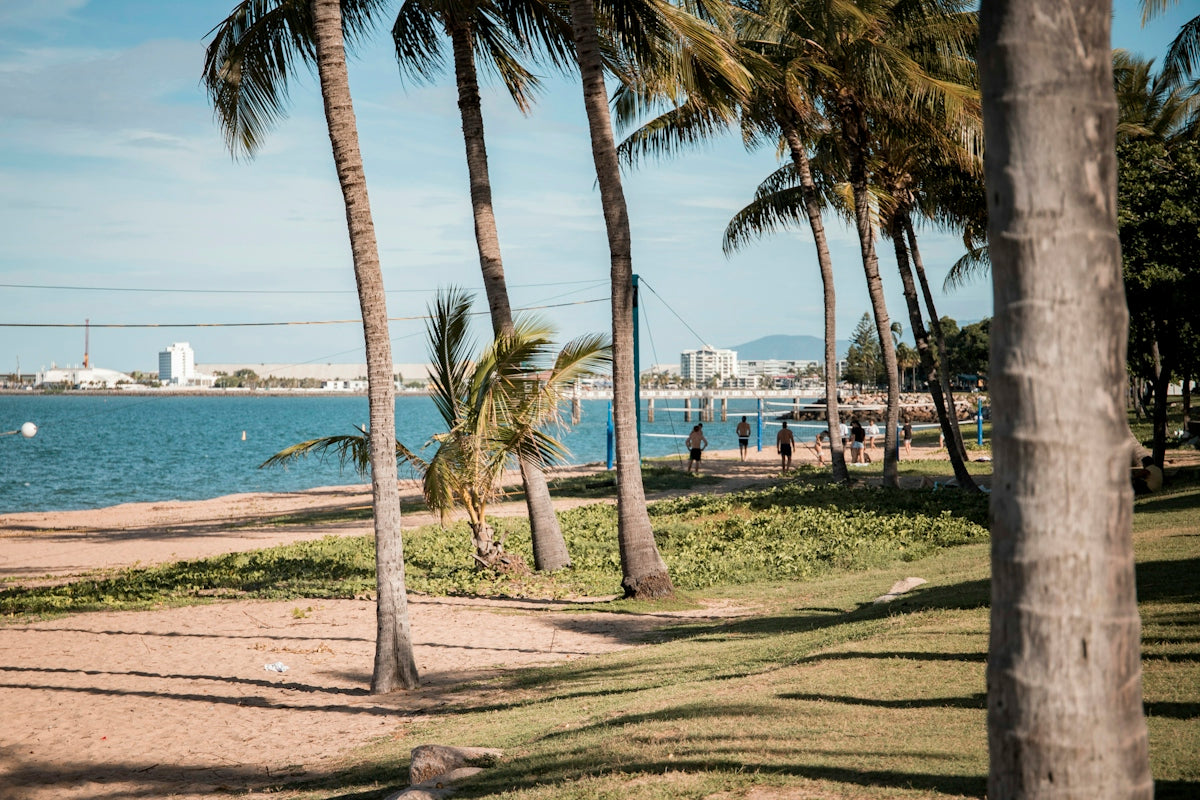 a beach with palm trees and water