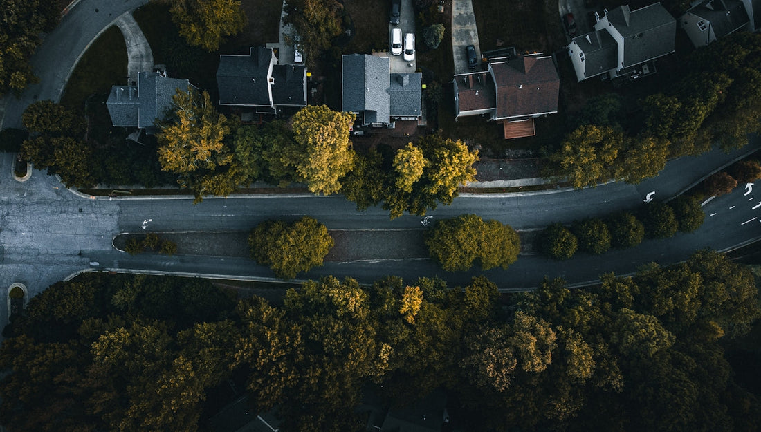 a city with trees and buildings