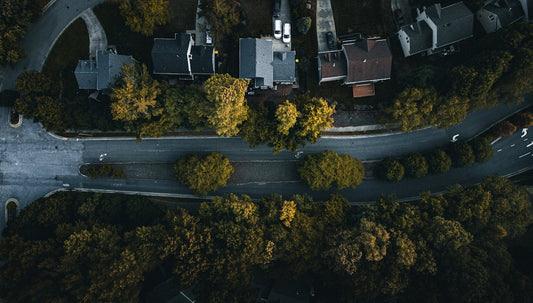 a city with trees and buildings