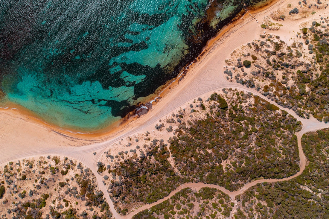 a view of a beach and ocean