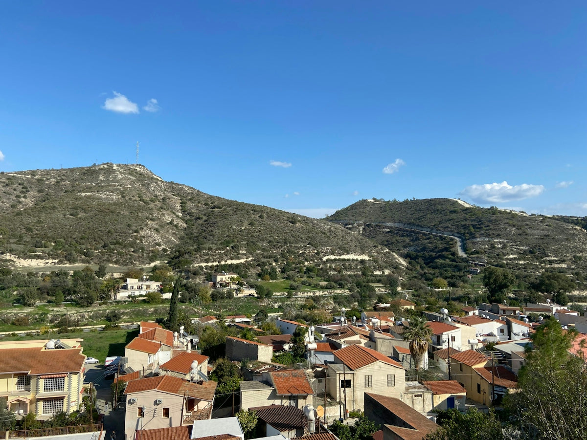 a view of a small town with hills in the background