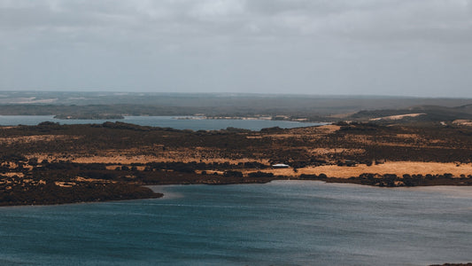 a large body of water surrounded by land