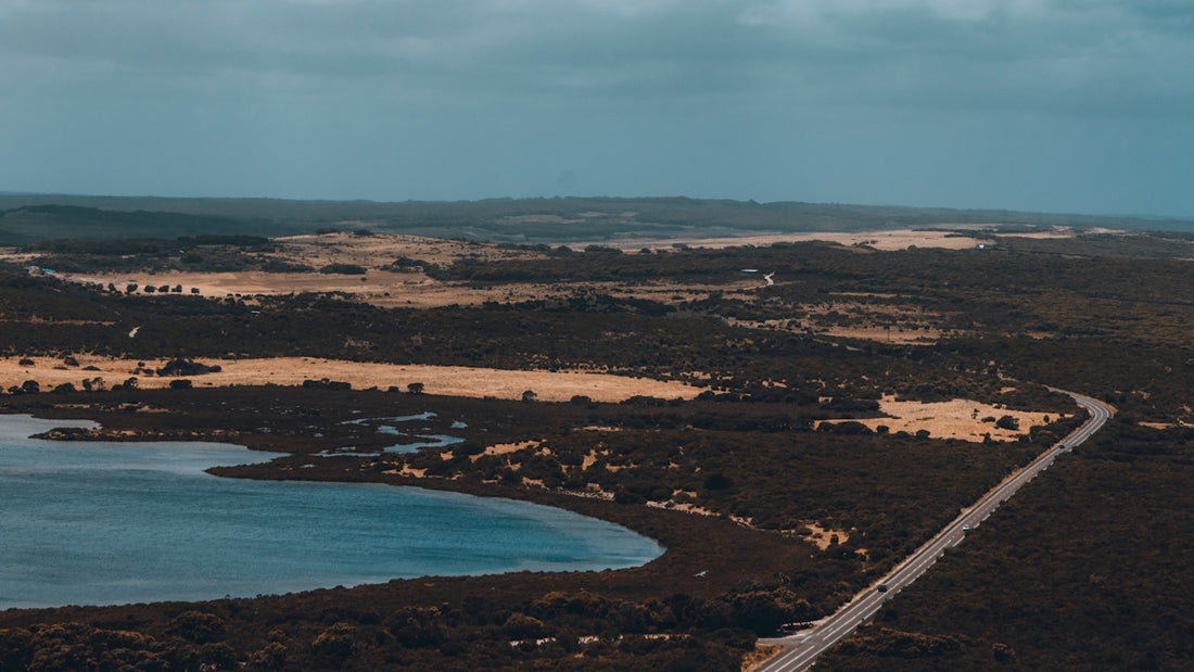 an aerial view of a road near a body of water