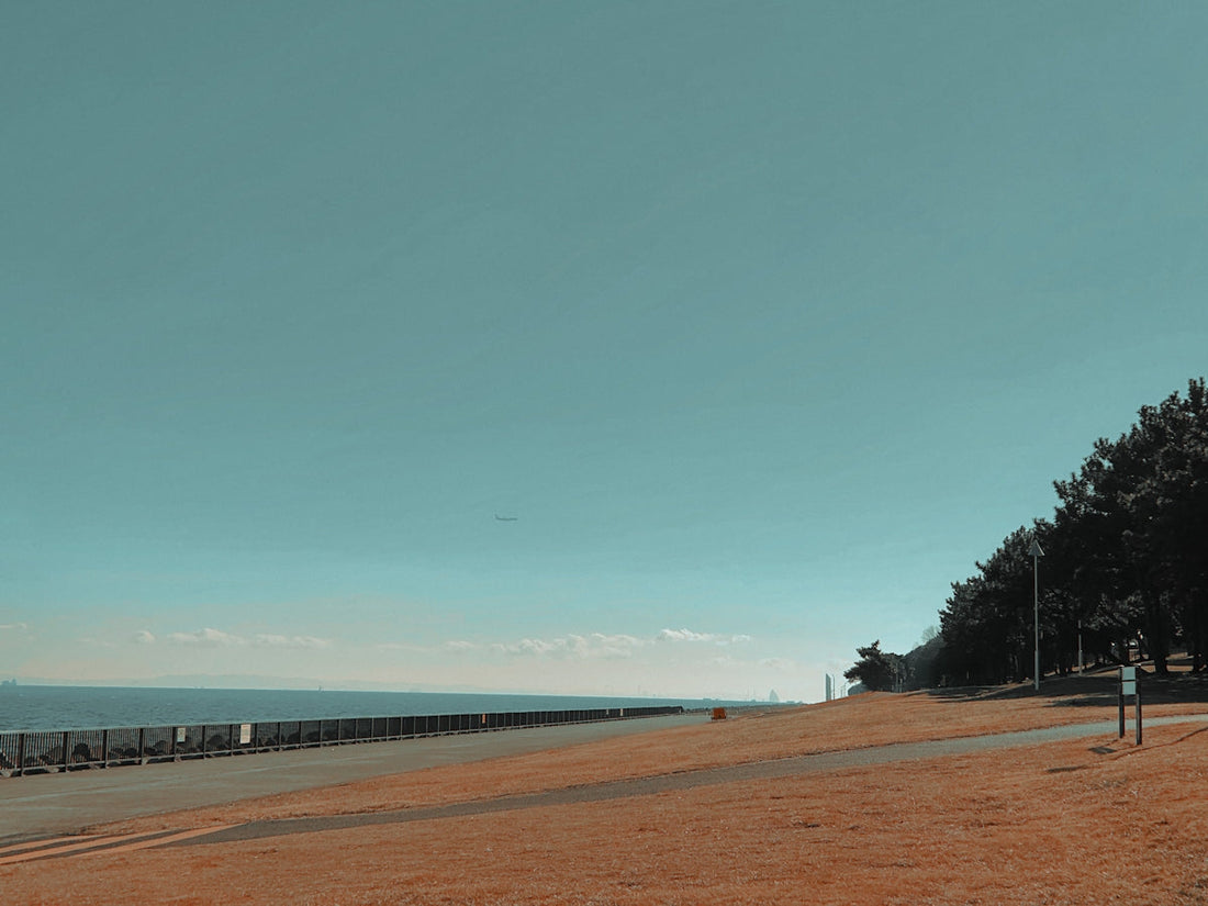 a person is flying a kite on the beach