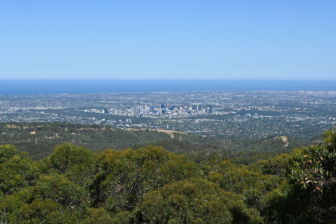 a view of a city from the top of a hill