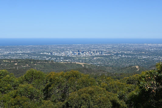 a view of a city from the top of a hill