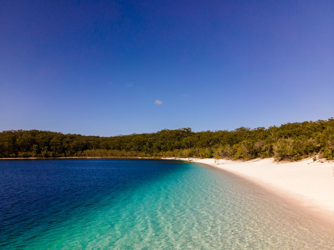 a body of water surrounded by trees and sand