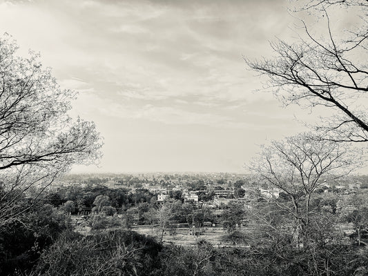 a black and white photo of trees and a city