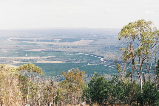 a couple of sheep standing on top of a lush green hillside