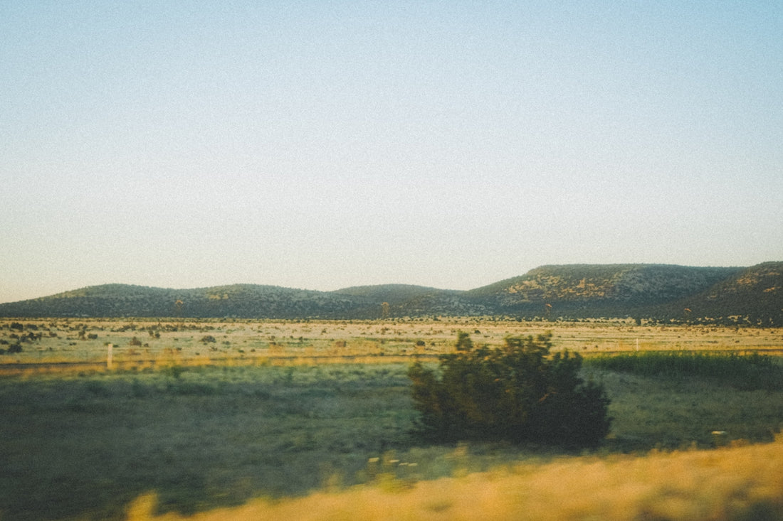 a grassy field with mountains in the distance