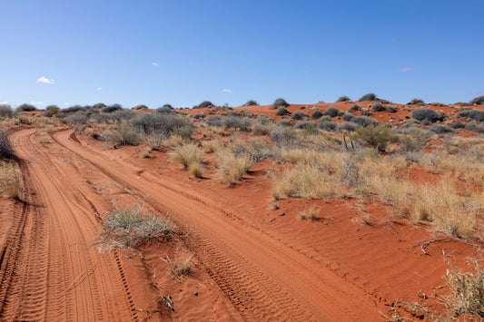 a dirt road in the middle of a desert