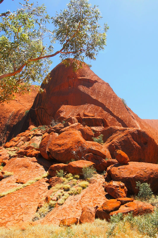 a large rock formation with a tree growing out of it