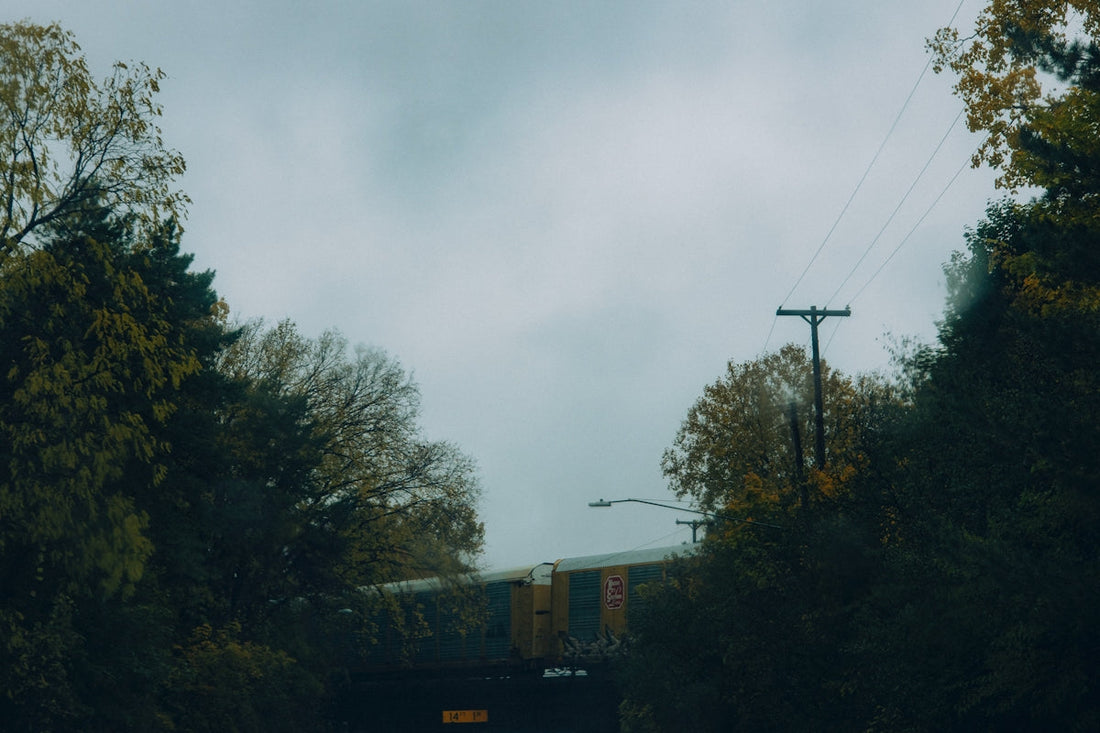 a train traveling over a bridge next to a forest