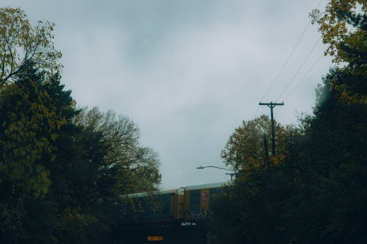 a train traveling over a bridge next to a forest