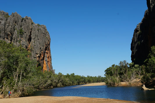 a body of water surrounded by mountains and trees