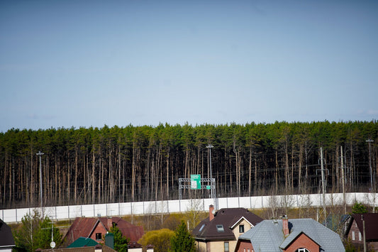 a row of houses in front of a forest