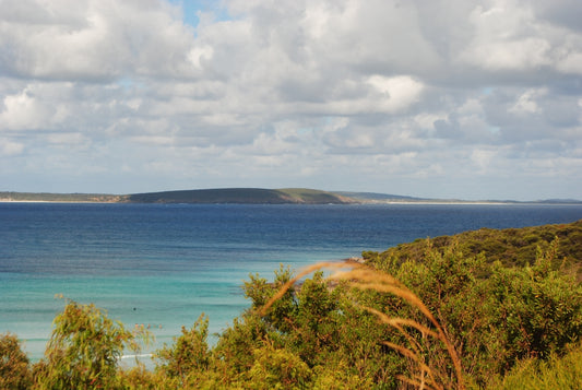 a view of a body of water from a hill