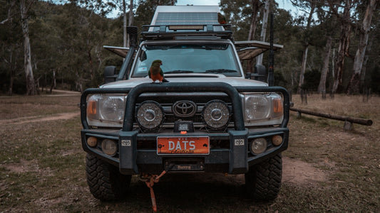 a bird perched on the front of a vehicle