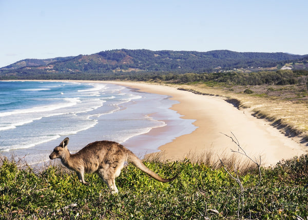 Unley