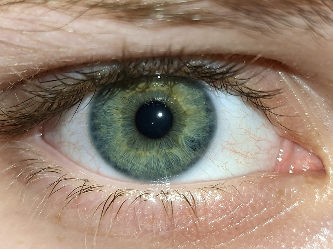 A close up of a person's green eye