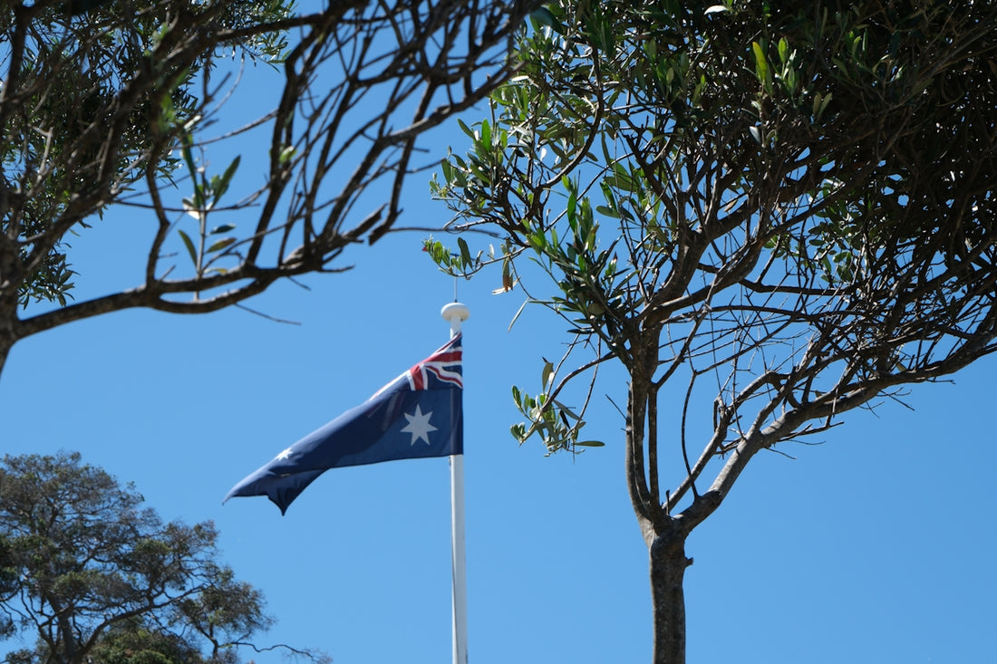 A flag flying in the wind next to a tree