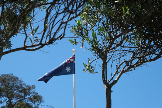 A flag flying in the wind next to a tree