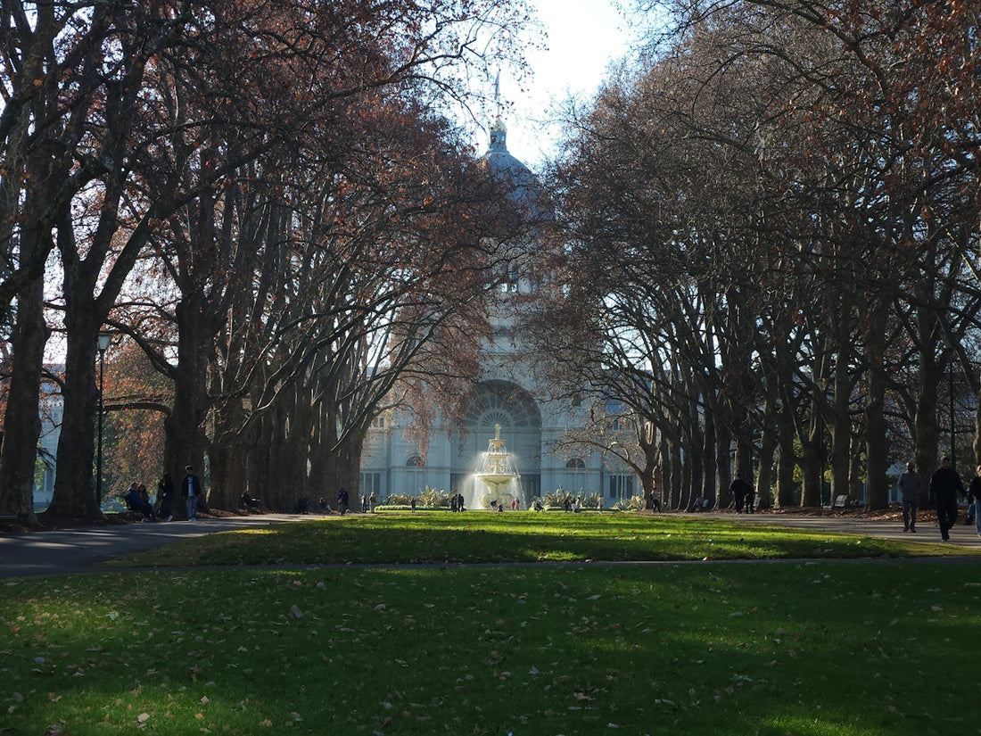 A view of the eiffel tower through the trees