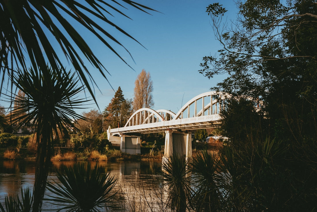 A bridge over a body of water surrounded by trees