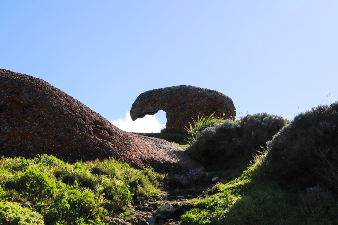 A rock formation in the middle of a grassy area