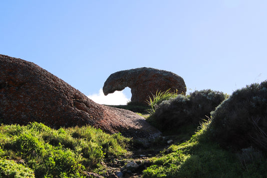 A rock formation in the middle of a grassy area