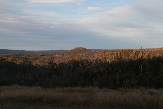 A view of a field with a hill in the background
