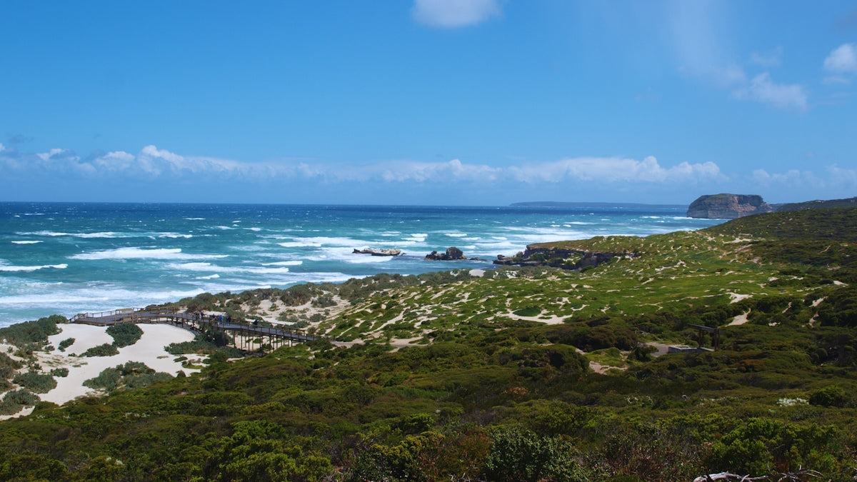 A view of the ocean from the top of a hill