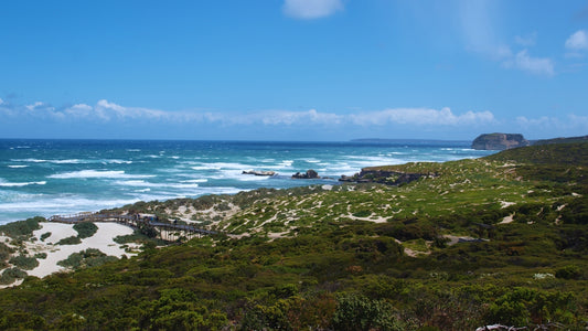 A view of the ocean from the top of a hill