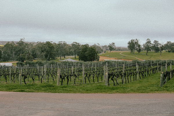 Coolbellup