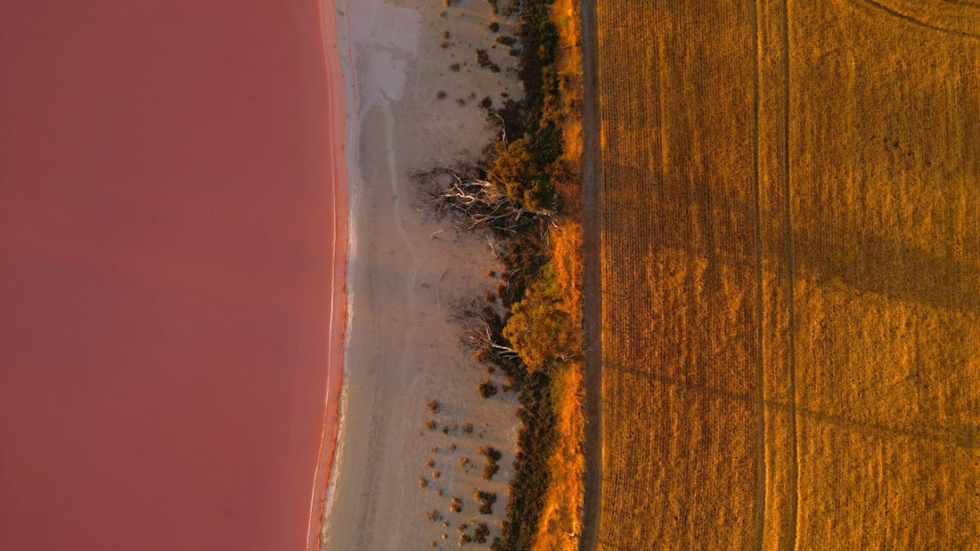A bird's eye view of a field and a body of water