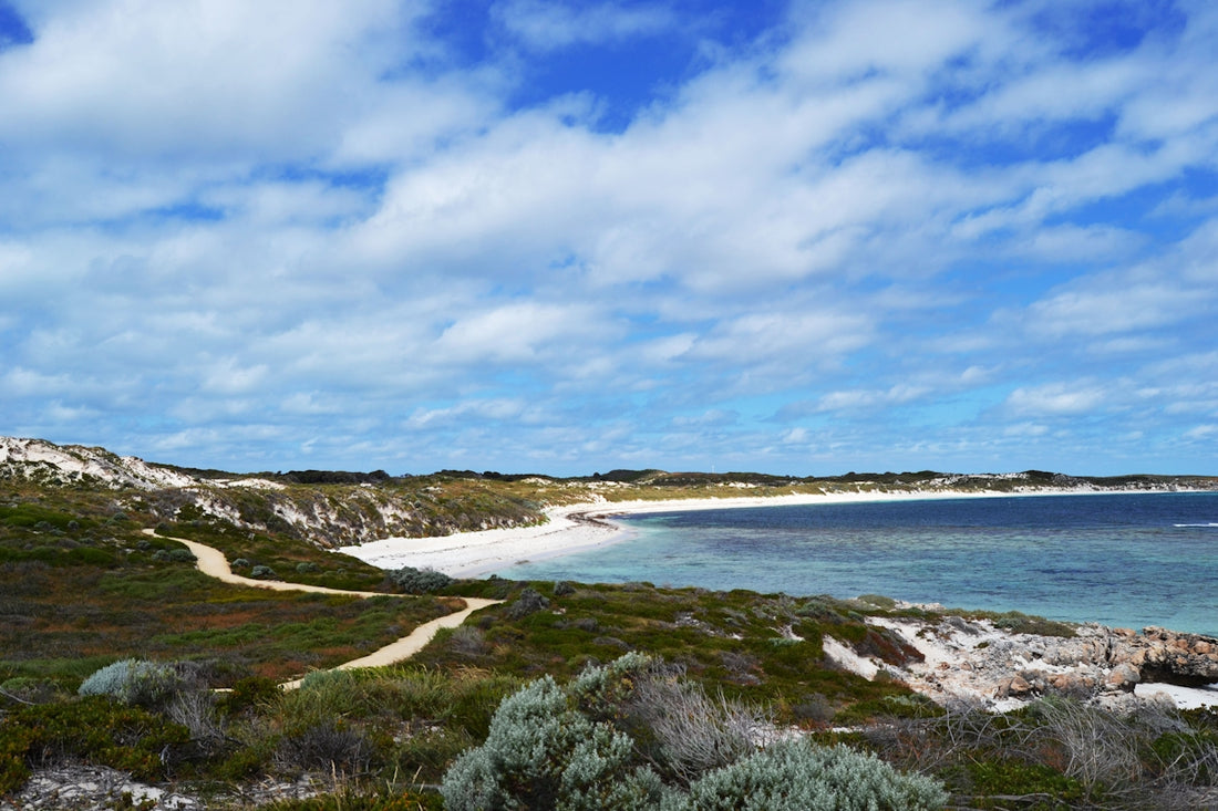 A view of the ocean from a rocky shore