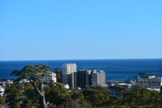 A view of a city with a body of water in the background
