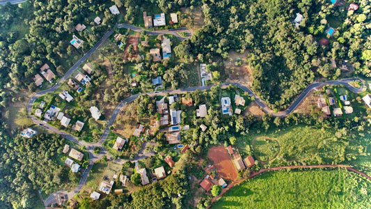 An aerial view of a small village in the middle of a forest